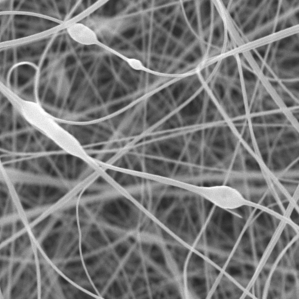 Projekt_14 https://nanopharma.cz/wp-content/uploads/2022/05/Projekt_14.jpg