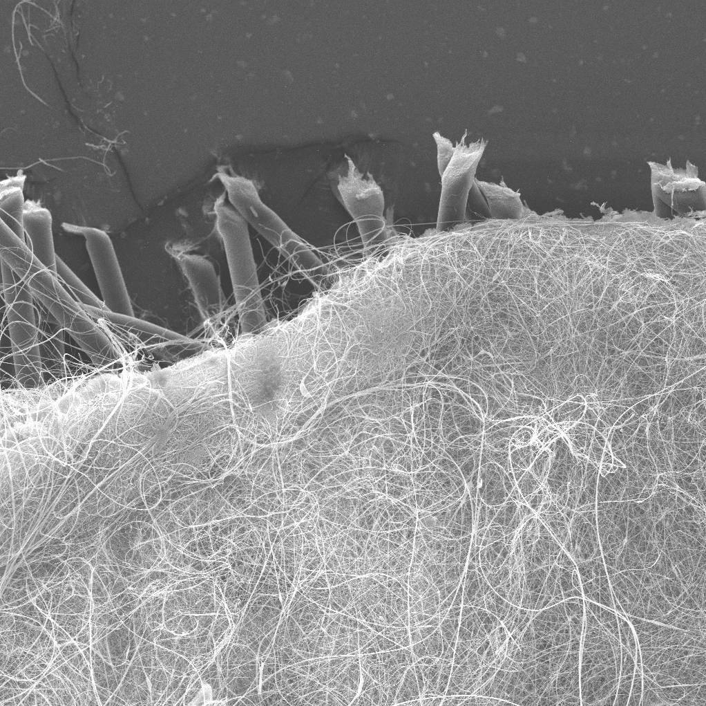 Projekt_15 https://nanopharma.cz/wp-content/uploads/2022/05/Projekt_15.jpg