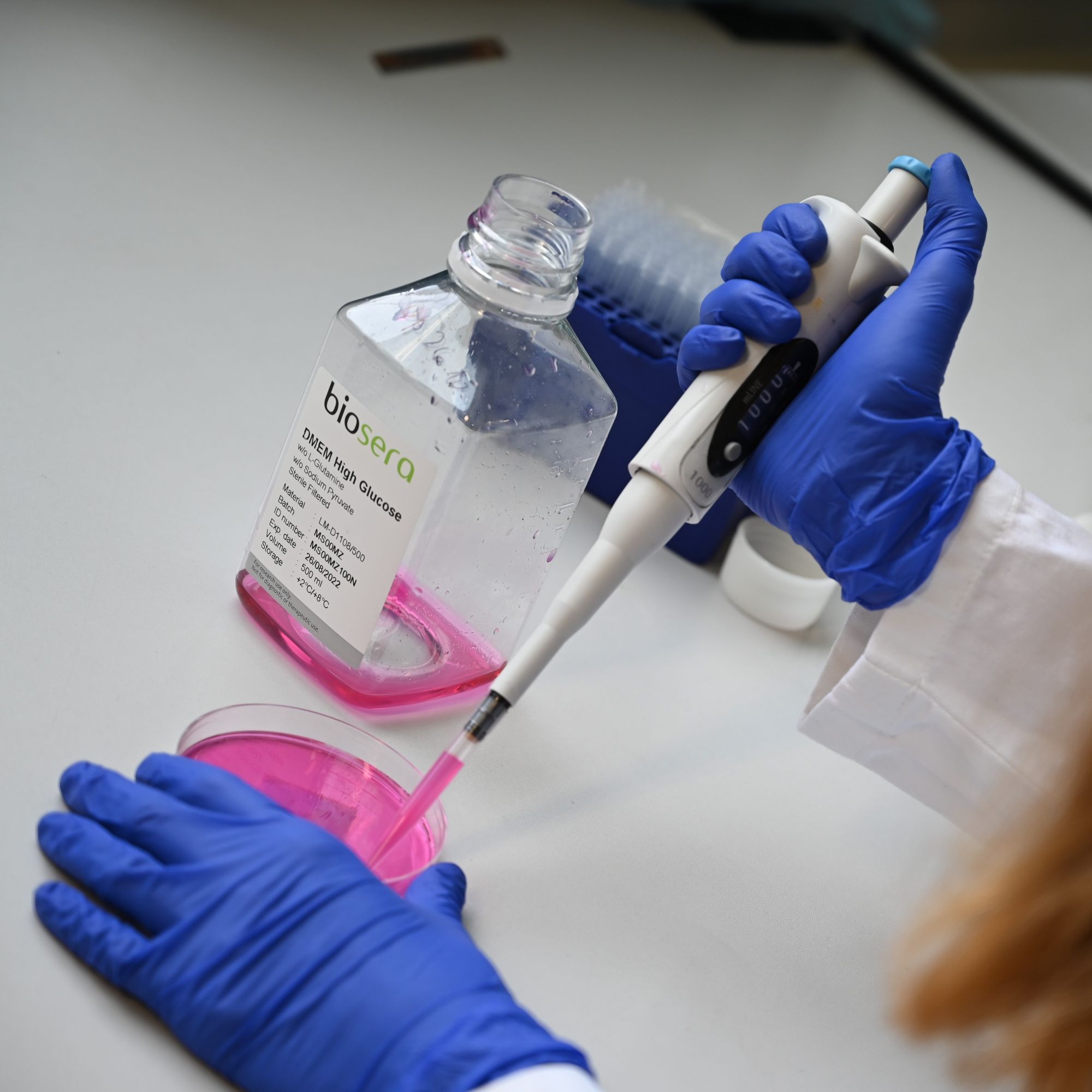 Projekt_21_B https://nanopharma.cz/wp-content/uploads/2025/10/Projekt_21_B.jpg