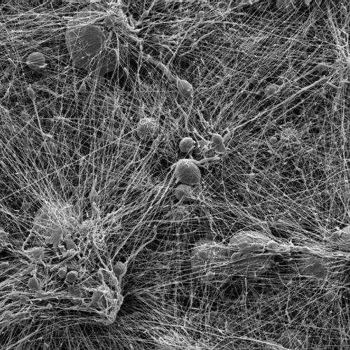 Projekt_22_a https://nanopharma.cz/wp-content/uploads/2025/10/Projekt_22_a.jpg